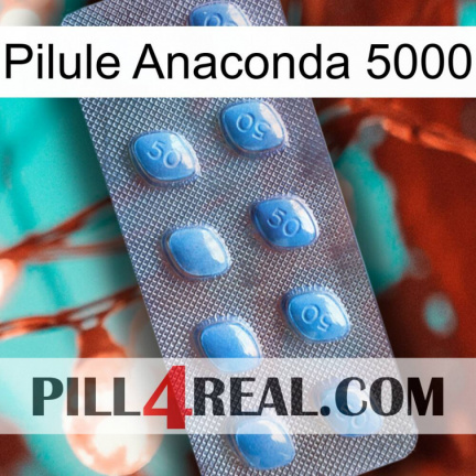 Anaconda 5000 Pill viagra3
